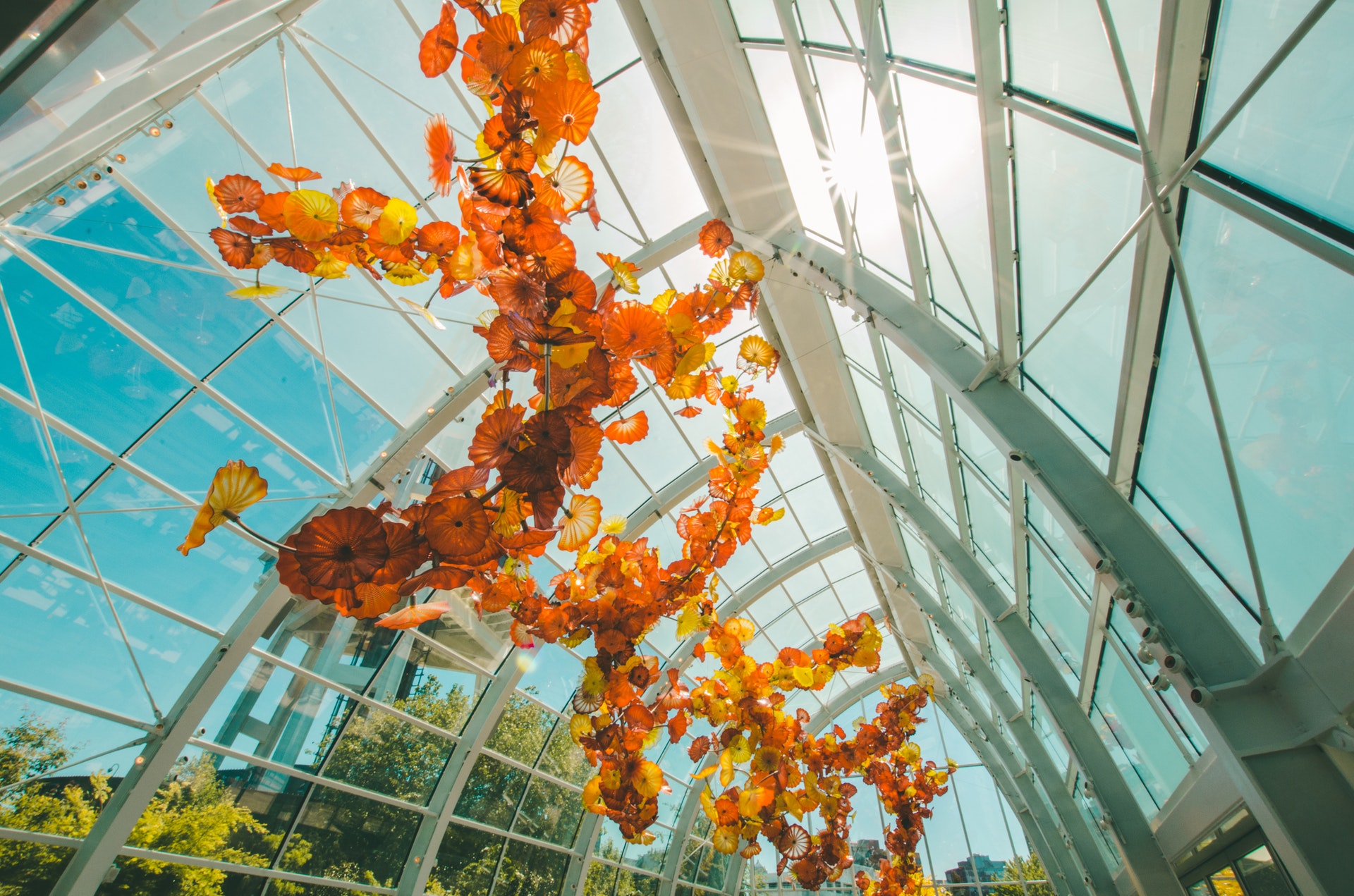 A large domed glass building where beautiful orange flowers hang under the glass, dazzling in the sunlight on a clear day